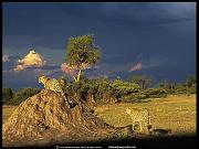 National Geographic Wallpapers 066_jpg